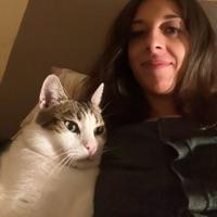 Elisa