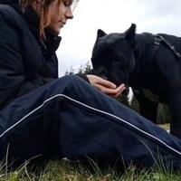 Ana