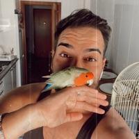 José  Fernandes 