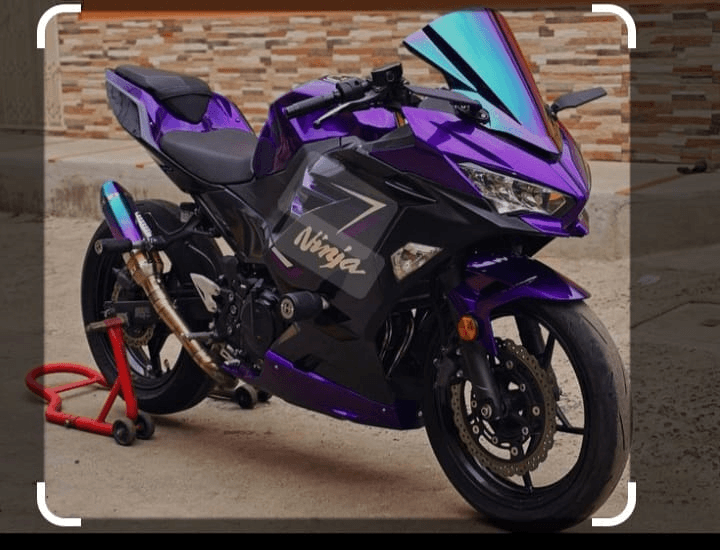 Ferran Domingo Garcia